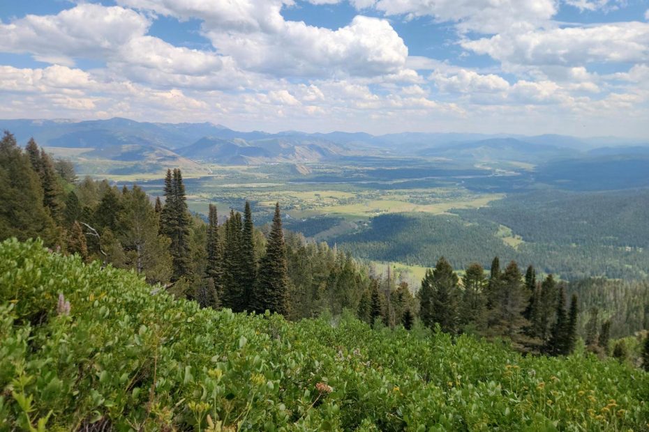 Phillips Ridge Trail Above Jackson Hole