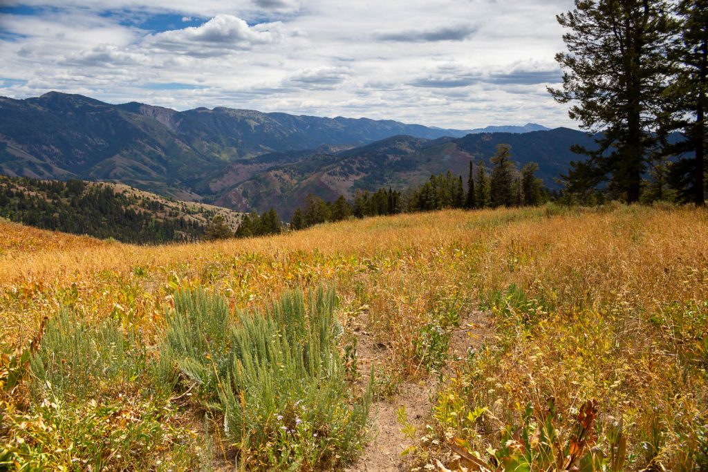Gros Ventre Mountains Beyond East Table