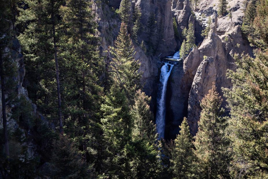 Tower Falls in Forest