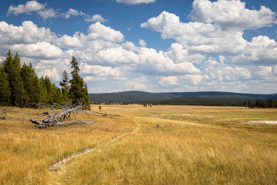 Senator Meadows Loop Sentinel Meadows Loop - Yellowstone National Park - Free Roaming Hiker
