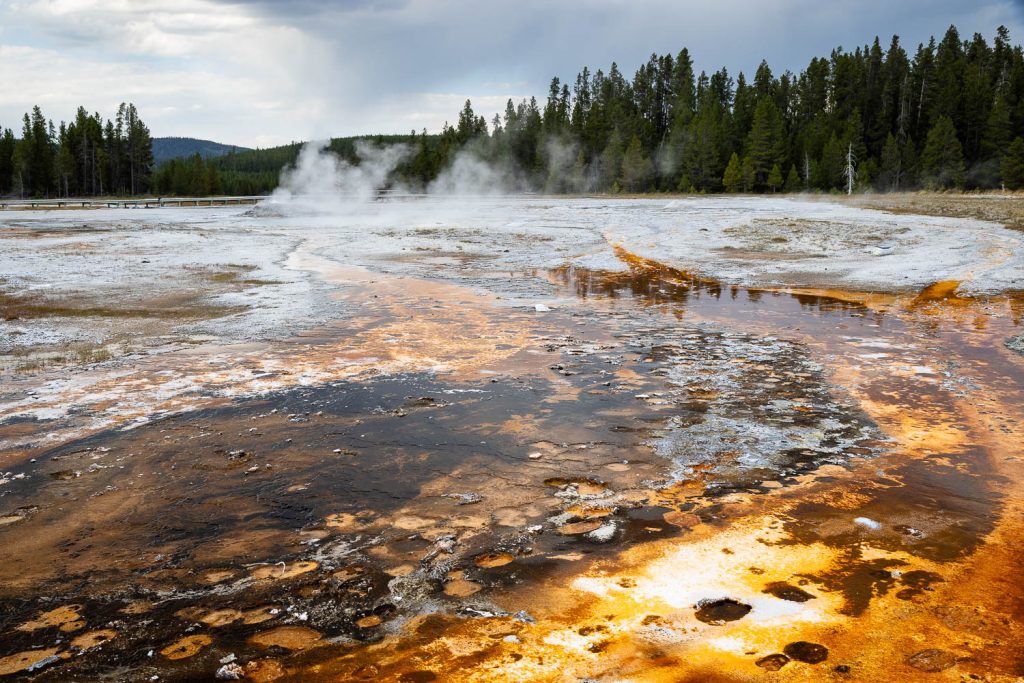 Thermophiles in Runoff from Daisy Geyser