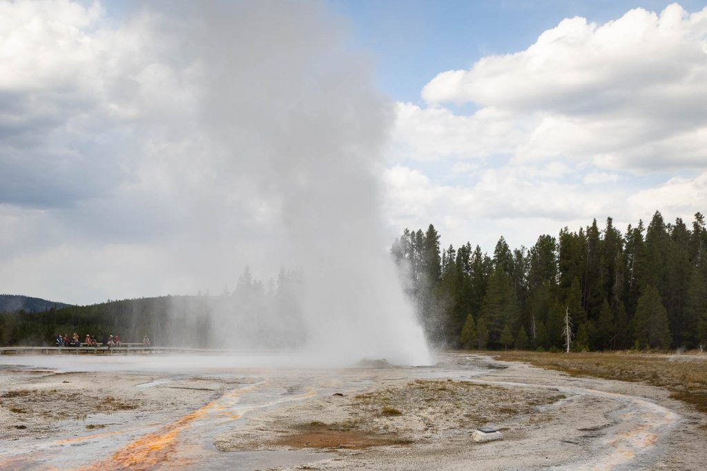 Daisy Geyser Erupting